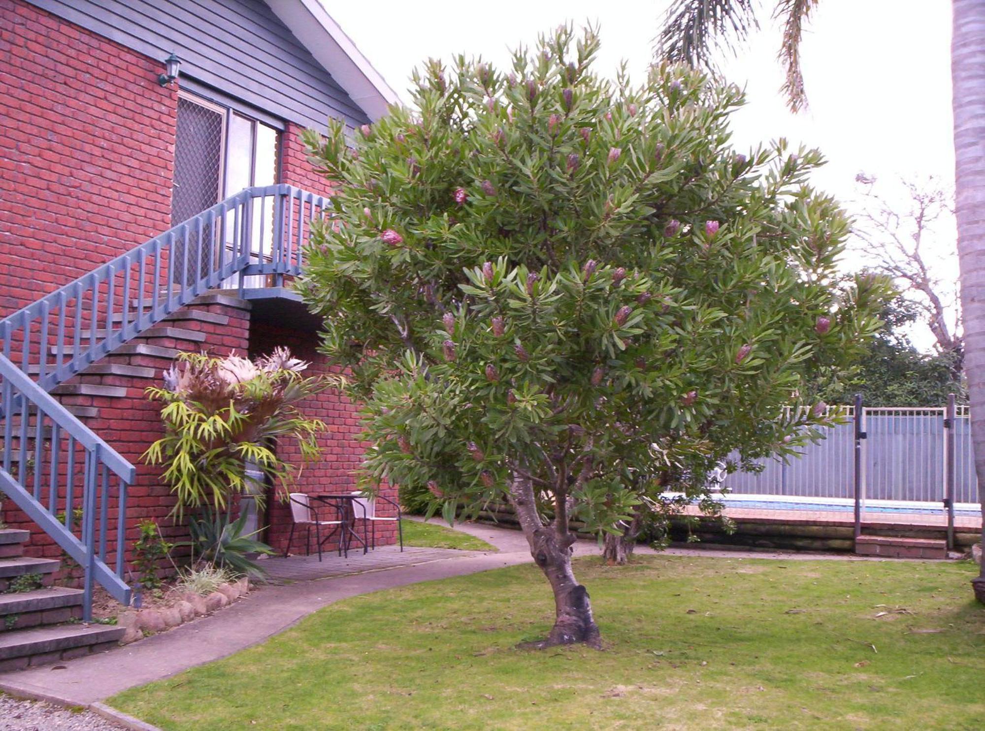 Harbour Lights Holiday Units Merimbula Exterior photo